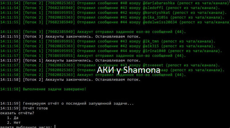 акки2.jpeg