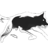 DNSPROXY