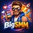 bigsmm